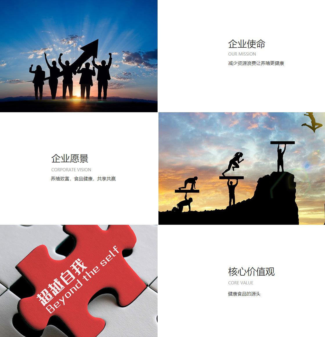 DG视讯官网平台app下载(图1)